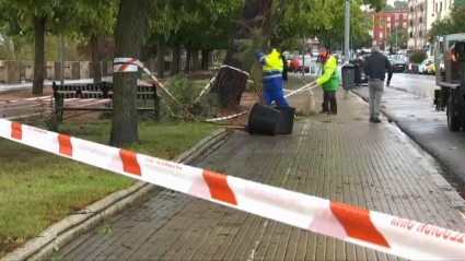 Incidentes tras la borrasca Aline