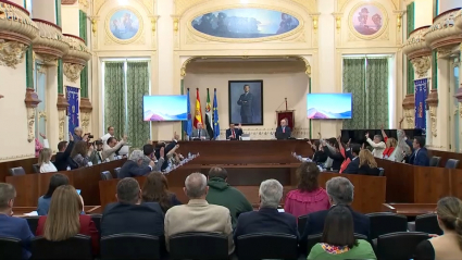 Votación en el pleno de la Diputación de Badajoz