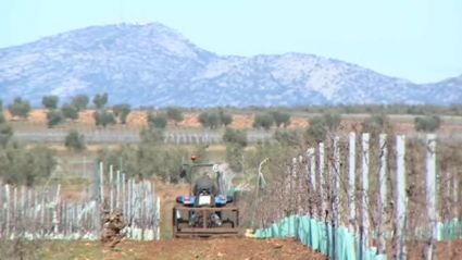 Las organizaciones agrarias temen el carpetazo definitivo del proyecto. Hablan de "tomadura de pelo"