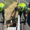 La Guardia rescata a un buitre leonado