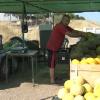 Puesto de sandías y melones en Almendralejo