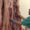 Trabajador de un matadero preparando cerdo ibérico