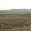 Terrenos de la dehesa boyal del término municipal de Zafra donde se levantará el macromatadero del ibérico. Dehesa y campo cerca de Zafra.