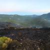 Imagen del incendio a última hora de la tarde