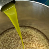 Aceite de oliva en almazara