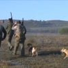 La caza tampoco se libra de las consecuencias derivadas de la crisis sanitaria del coronavirus. Un grupo de cazadores recorren el campo escopeta en mano en busca de presas.