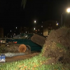 Árboles caídos sobre coches  por el temporal en Badajoz