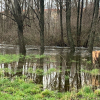 El río Jerte, desbordado a su paso por Plasencia