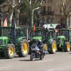 La tractorada extremeña llega a Madrid