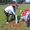 Familia plantando un alcornoque en el Parque Natural de Cornalvo  (Badajoz)