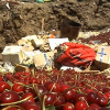 Cerezas en un vertedero