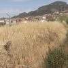 Lugar de accidente de coche en Hornachos