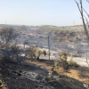 Imágenes del incendio de Guadalperal