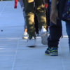 Niños entrando en el CEIP Alba Plata de Cáceres