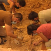 Profesionales trabajando en las excavaciones de Cabeza la Vaca