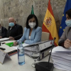 Una reunión reciente del Consejo Interterritorial de Salud este mes de diciembre, en Córdoba.