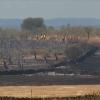 Terreno seco parcialmente quemado con bomberos forestales trabajando