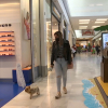 Una clienta paseando con su perra en el Centro Comercial El Faro en Badajoz.