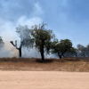 Incendio en la zona de Manantío, en Badajoz