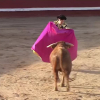 tierra de toros 318