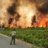 Una de las imágenes del incendio en la Sierra de Gata (Cáceres) este verano