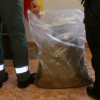 Cogollos de marihuana, Guardia Civil