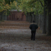 Hombre caminando un día de otoño