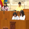 Pleno contra el bullying por lgtbifobia