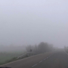 Conducir con niebla