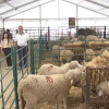 Feria Agroganadera de Puebla de Alcocer