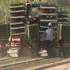 Las plantaciones de tomate ya han comenzado