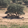 Sequía en Extremadura