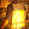 Desmantelada una plantación de marihuana