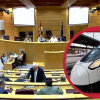 El Senado debate sobre el AVE en Extremadura