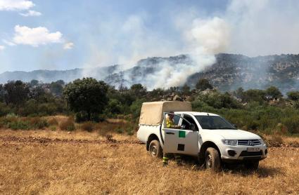 Incendio forestal en Cabeza del Buey