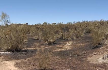 Consecuencias del incendio