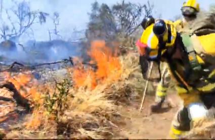 Incendio forestal en Pozuelo de Zarzón