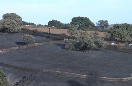 La Junta da por controlado el incendio en Alía