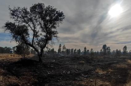 Incendio cerca de la Base de Bótoa y de la carretera N-523