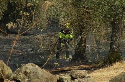 Incendio forestal en Villamesías