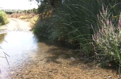 Río Limonetes en Talavera