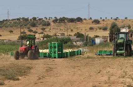 Plan Renove Maquinaria agrícola