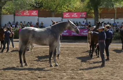 Feria de Zafra