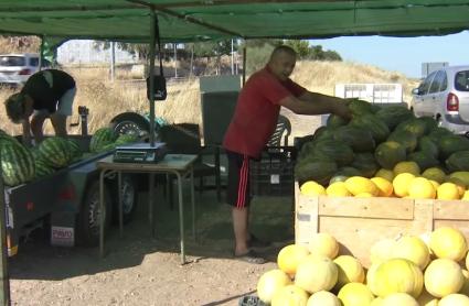 Puesto de sandías y melones en Almendralejo