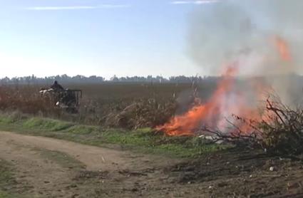 Peligro bajo de incendios