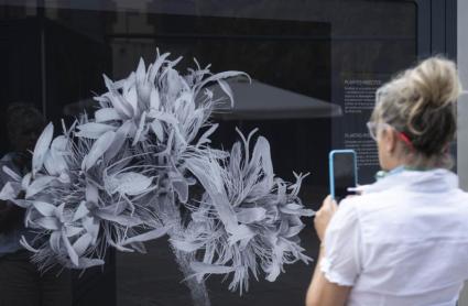 La exposición 'Nanocosmos' recala en Badajoz con una mirada diferente sobre la flora y la fauna en su escala más pequeña