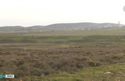 Terrenos de la dehesa boyal del término municipal de Zafra donde se levantará el macromatadero del ibérico. Dehesa y campo cerca de Zafra.