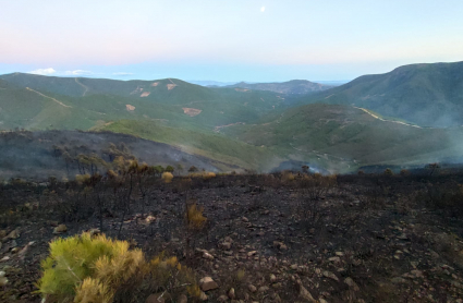 Imagen del incendio a última hora de la tarde