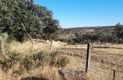 Paraje cercano al lugar de los hechos