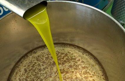 Aceite de oliva en almazara